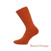 Companion - Burnt Orange