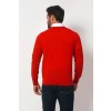 Merino Wool Crew Neck Sweater - Red