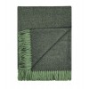 NEW! 100% Baby Alpaca Throw - Pistachio