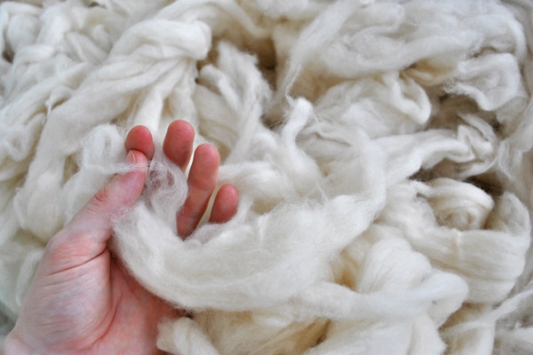 Raw Wool